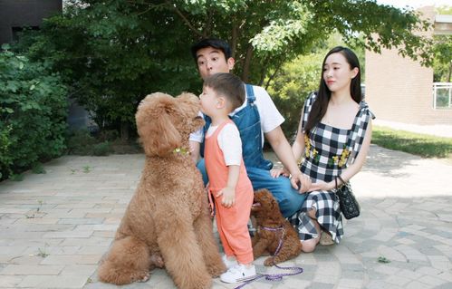 狗狗當“家教” 萌寵叼衣架監督小主人寫作業，神似操心老母親